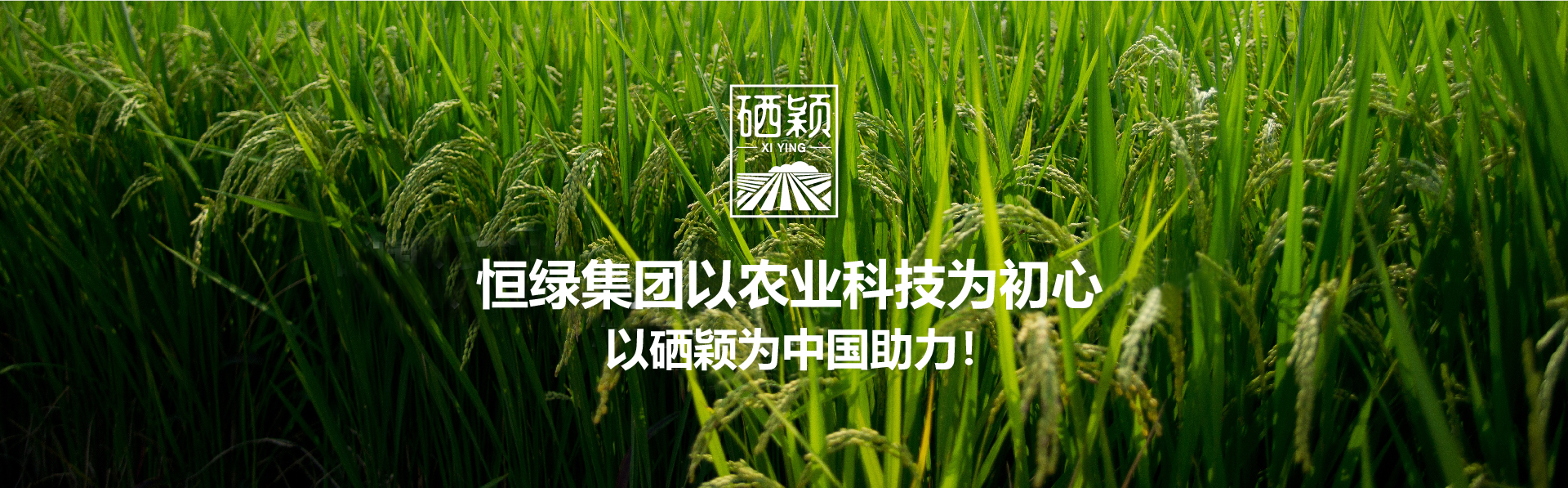 幻灯二